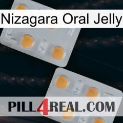 Nizagara Oral Jelly 25